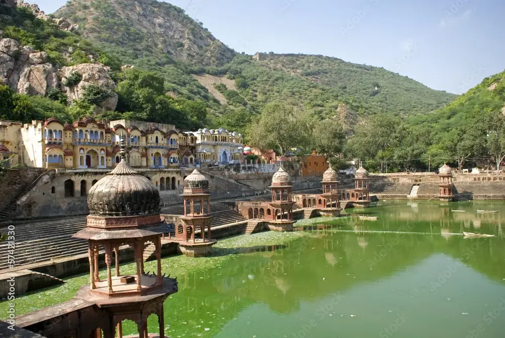 Pest Control in Mansarovar