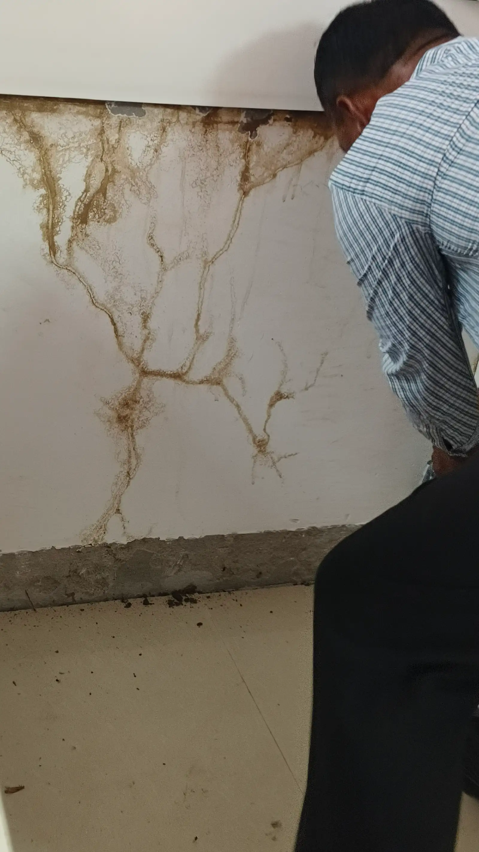 Technician carefully drilling wall holes for termite treatment near Ipia, Kota.