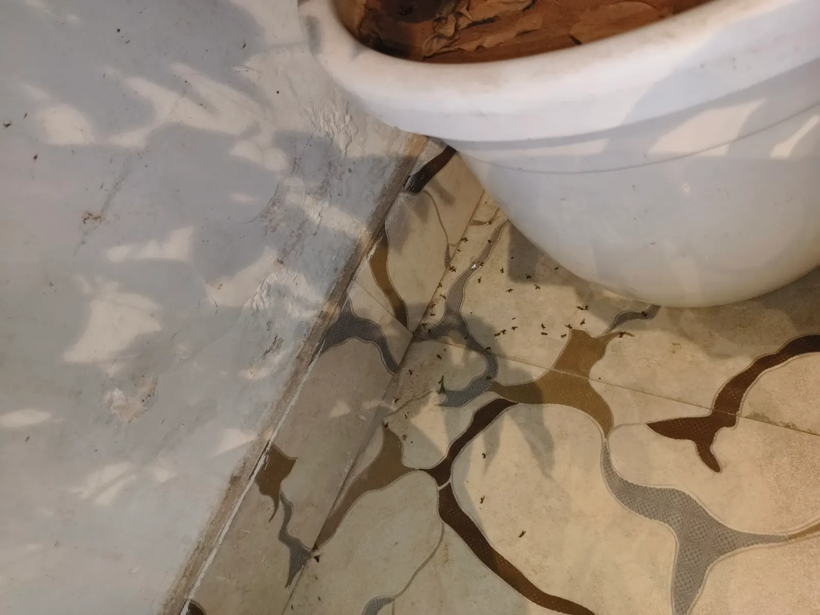 Fly-control spray applied inside a restaurant service area near Kaman, Deeg.