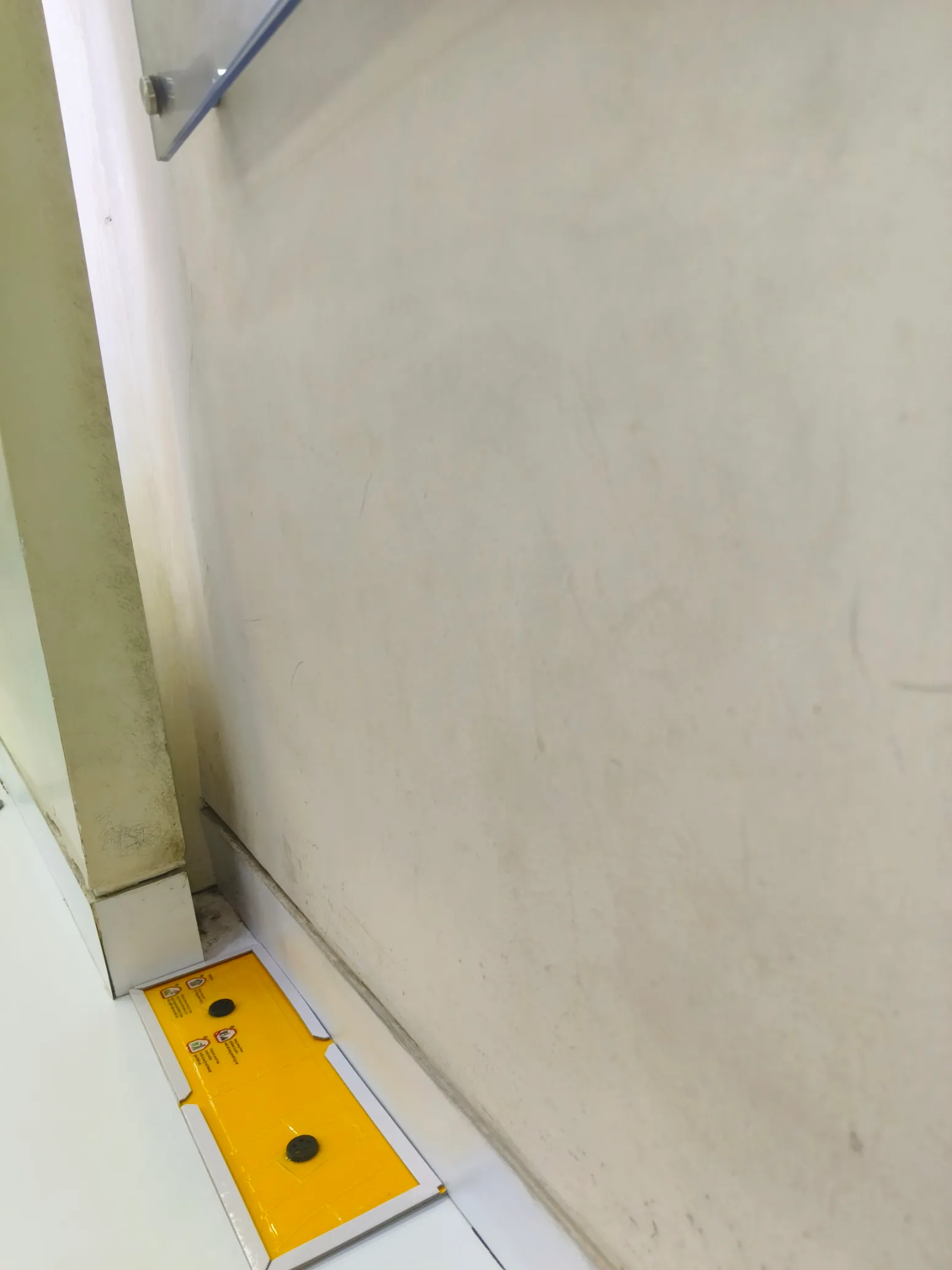 Rodent Management service context: Glue monitoring pad positioned along an interior wall.