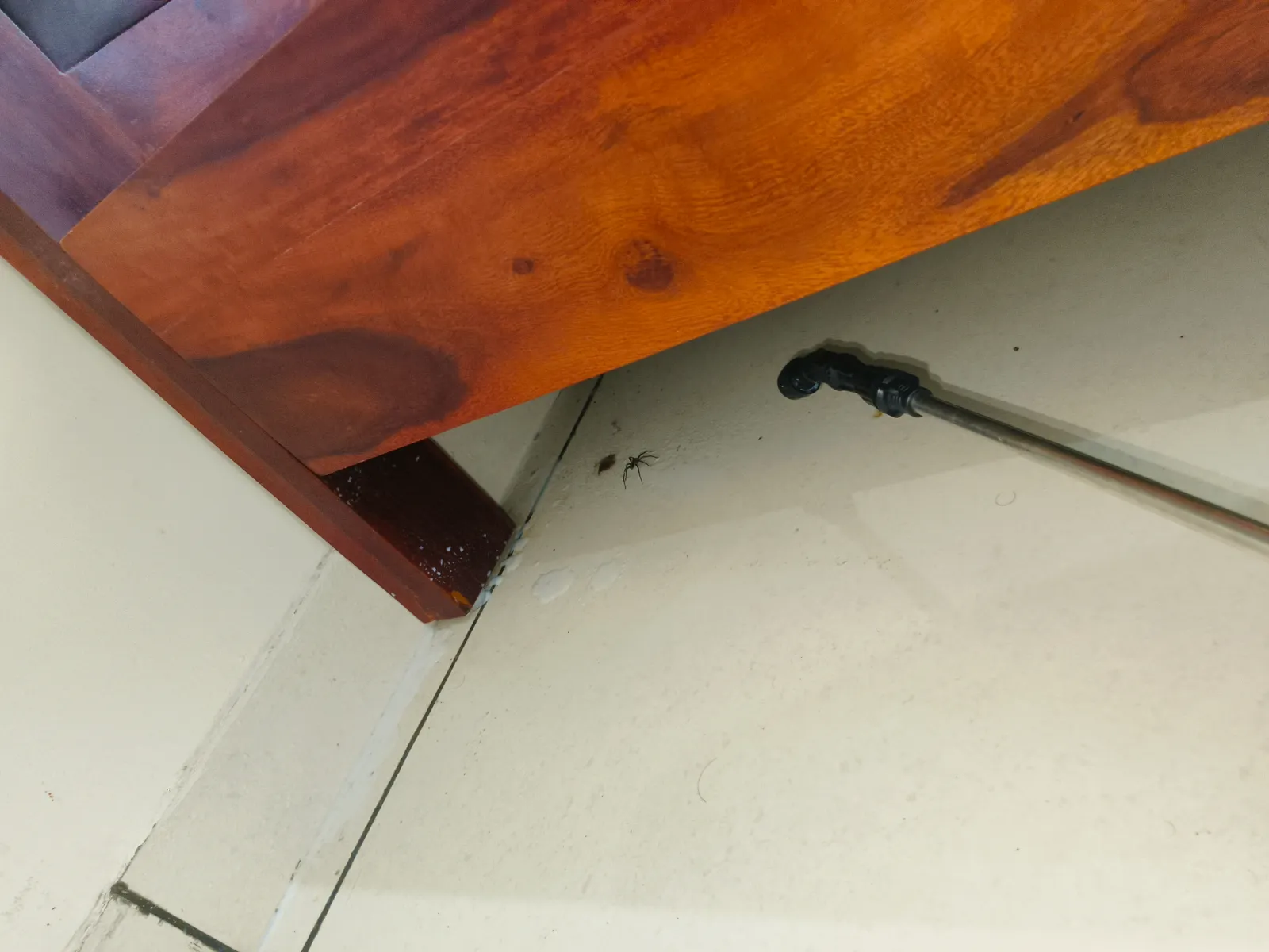 Technician applies spider treatment beneath a bed in a residential room.