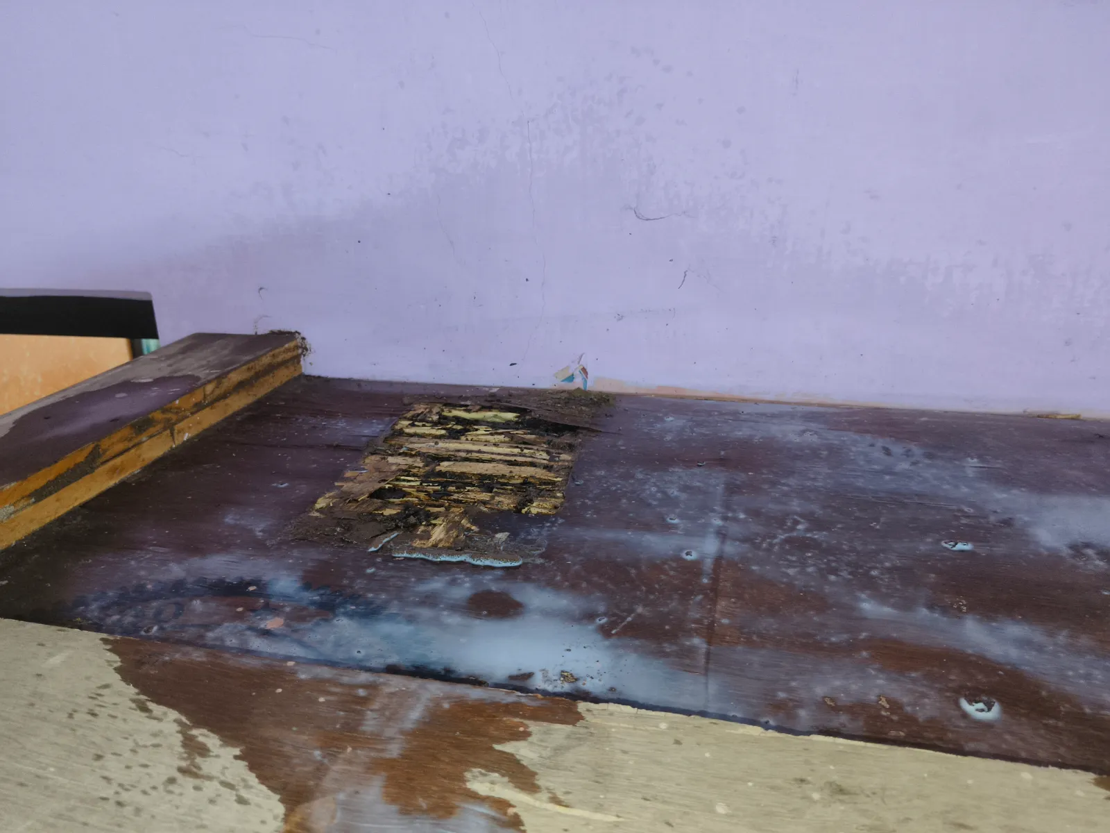 Termite treatment applied along a wooden door frame near Bari, Dholpur.